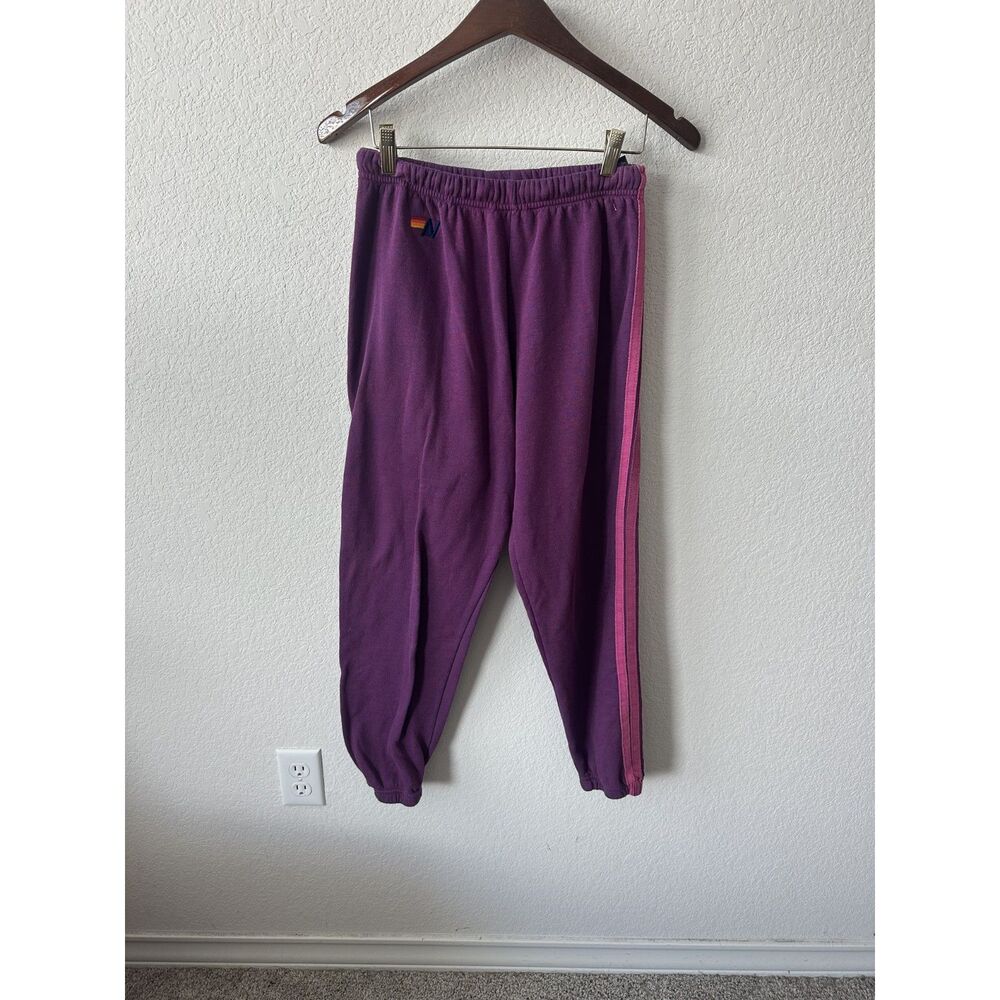 Aviator Nation 5 Stripe Purple Sweatpants
